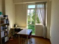The Petals (D23), Condominium #162497462